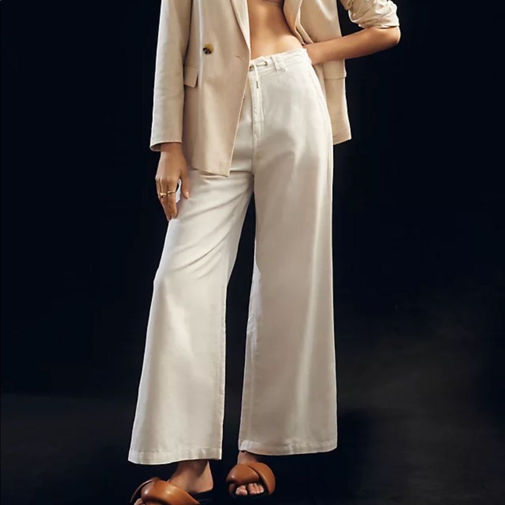 Hudson Drawstring wide leg pants